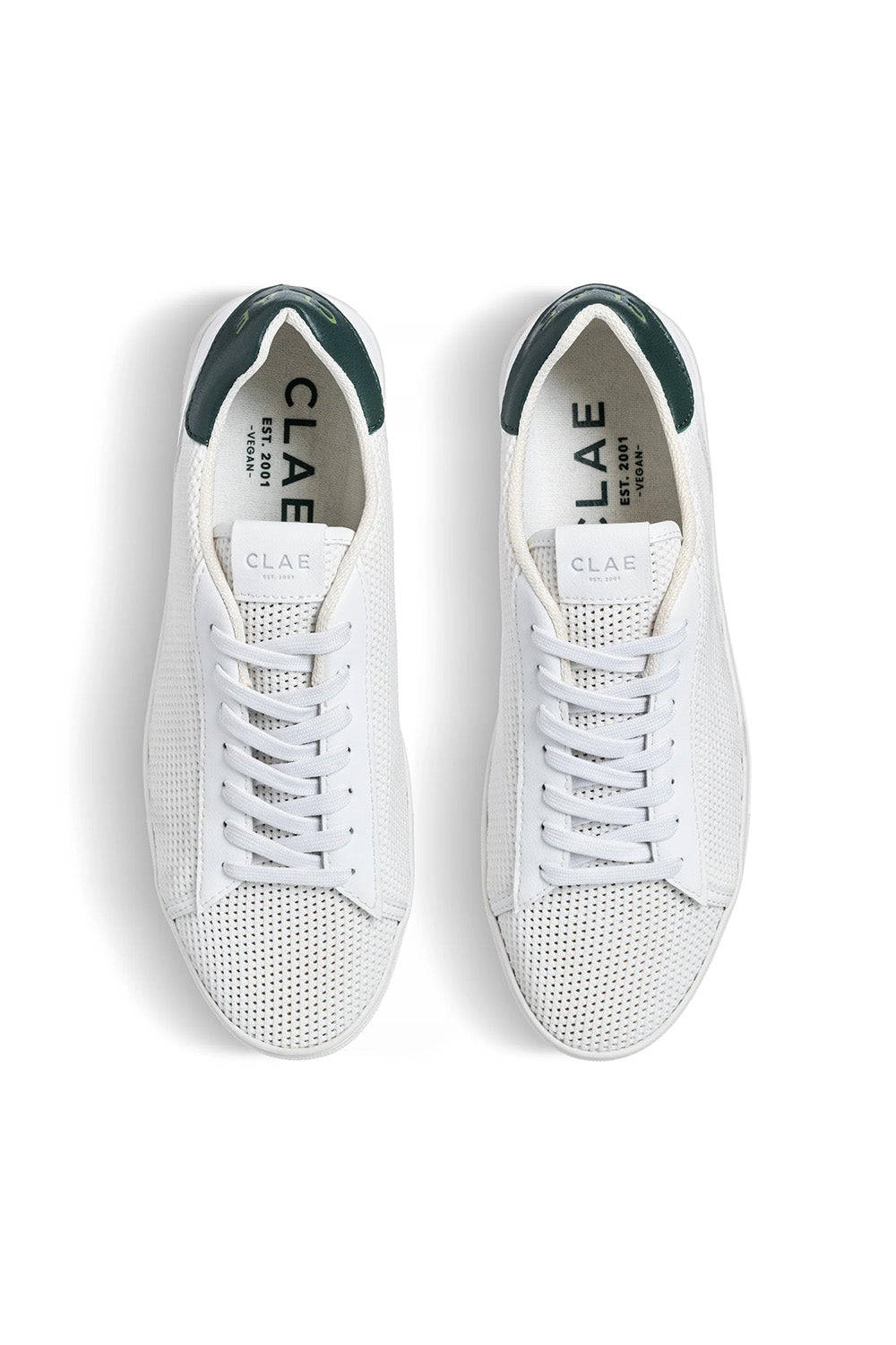 BRADLEY KNIT - WHITE PINE NEEDLE