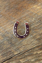 HORSESHOE ENAMEL PIN