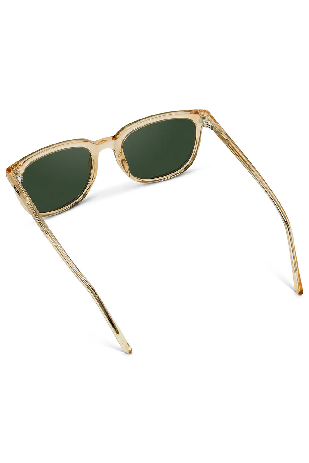 ABNER Champagne Crystal/Smoke Green Polar